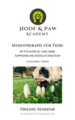 Picture of Online-Seminar "Mykotherapie für Tiere"