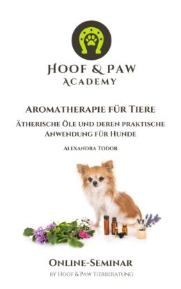 Picture of Online-Seminar "Aromatherapie für Tiere"