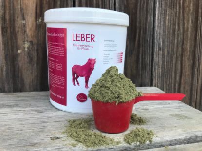 Bild von RossnaturKräuter "Leber"