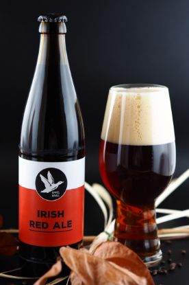 Irish Red Ale