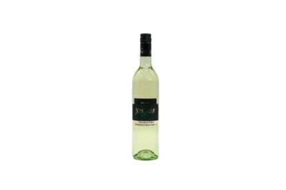 Bild von Sauvignon blanc Vulkanland Steiermark DAC - 0,75l