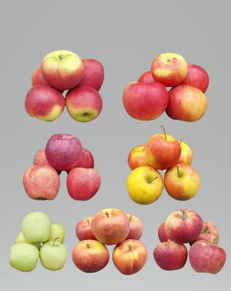 Bild von Äpfel Variation 5kg 