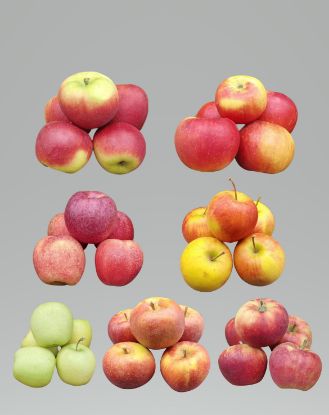 Picture of Äpfel Variation 5kg 