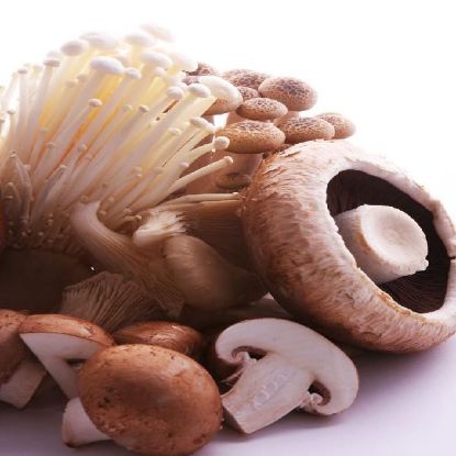 Bild von feine Mischpilze(Austern-, Schiitake-, Stock-, Maronen-, Steinpilze & Kräuterseitlinge) - 1kg
