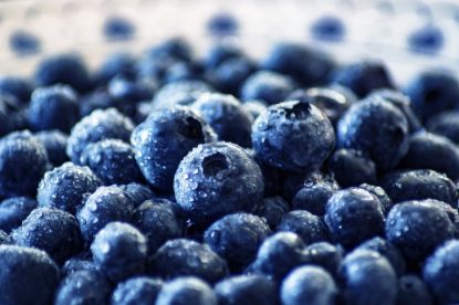 Bild von Heidelbeeren - 2,5kg