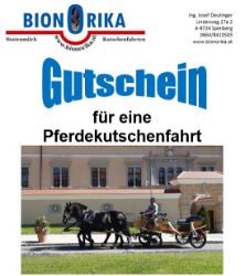 Bild von Kutschenfahrt Murtal - Gutschein