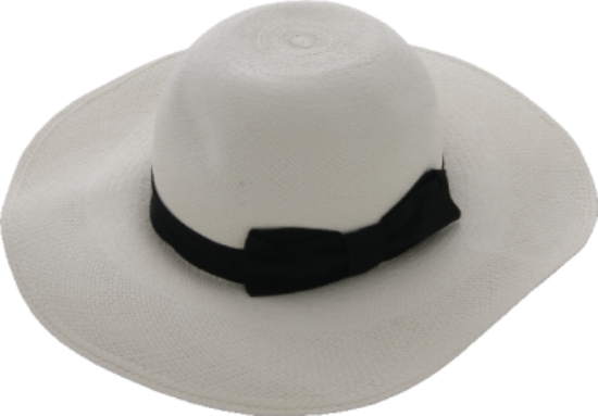 Picture of Original Panama Damenhut