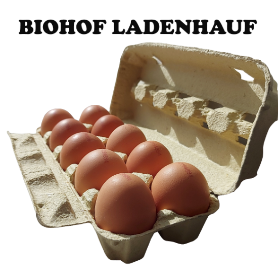 Bild von BIO Eier - 10er Packung