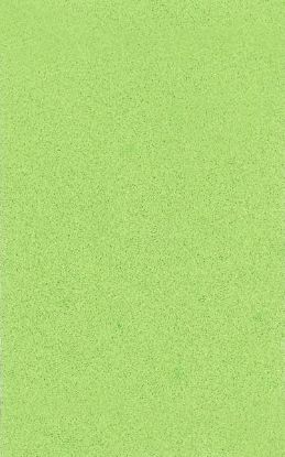 Picture of Moosgummi 20x29cm hellgrün 10 Bg.