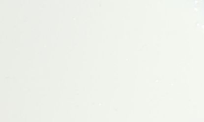 Show details for Funny Colour 8ml - opak - weiß Picture of Funny Colour 8ml - opak - weiß