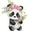 Picture of Panda