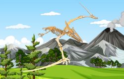 Picture of Flugsaurier 3D-Puzzle